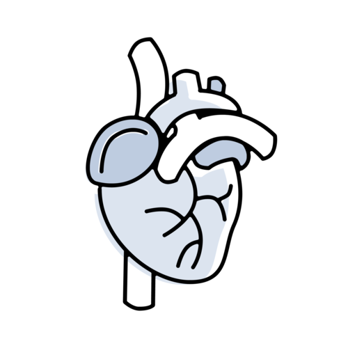 Heart_Icon